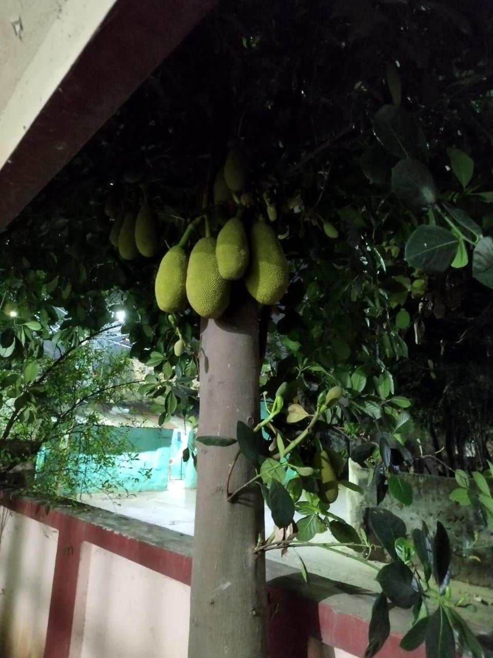 Aasiyana * Bhubaneswar