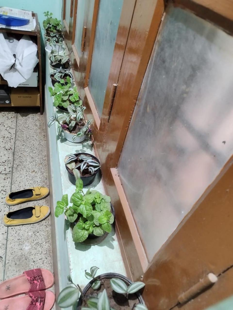 Aasiyana Homestay Bhubaneswar