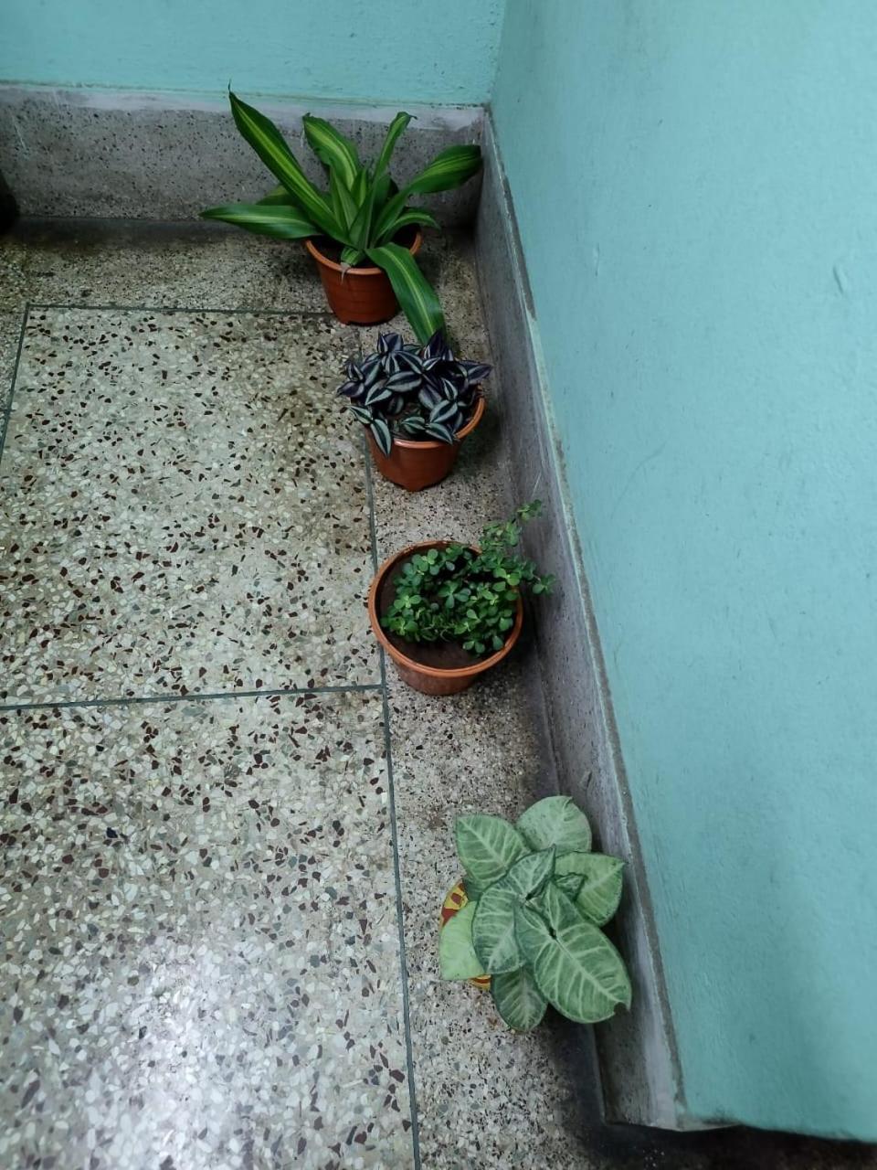 Aasiyana Homestay